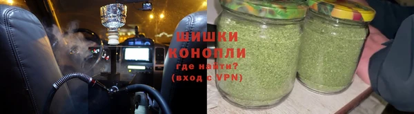 стаф Белокуриха