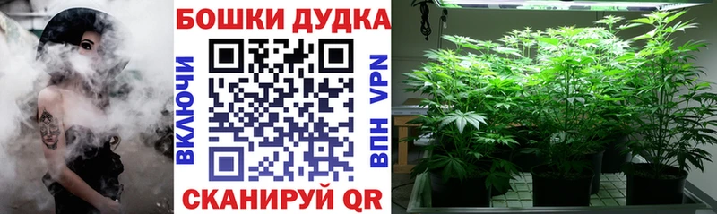МАРИХУАНА гибрид  Конаково 